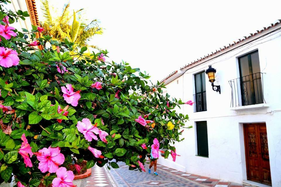 Beautiful Apartment With Sea Views, Benal Beach Benalmádena Exterior foto